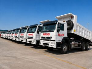 #neo360